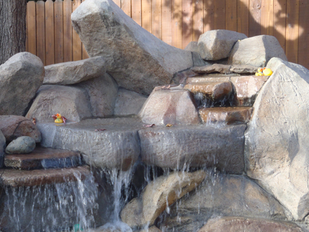 Swimming Pool Builder Vacaville Swimming Pool Builder Vacaville